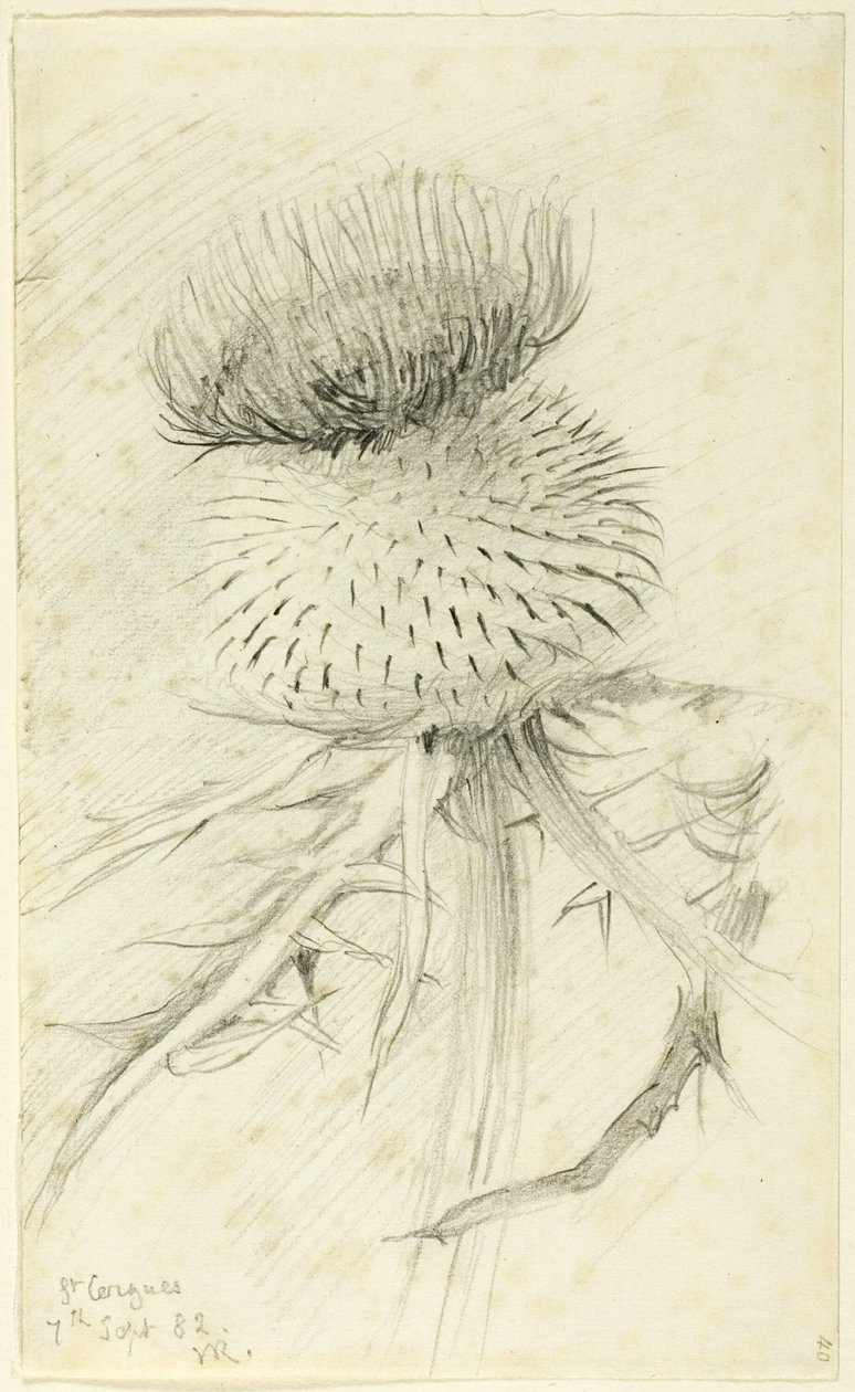 Saint-Cergues - John Ruskin