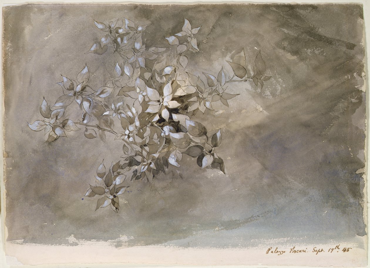Étude de feuillage - John Ruskin