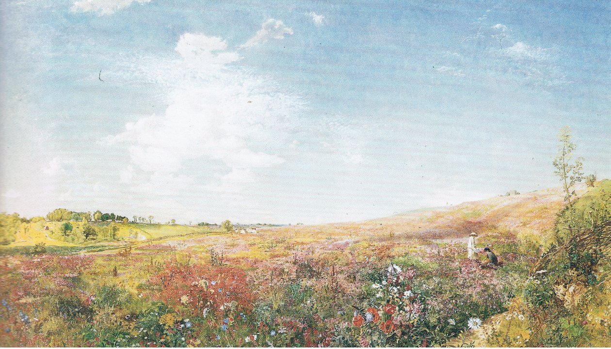 Paysage d