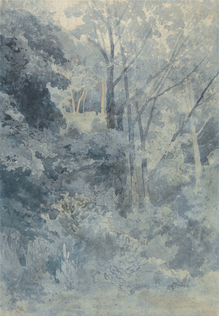 Dans le parc de Rokeby - John Sell Cotman
