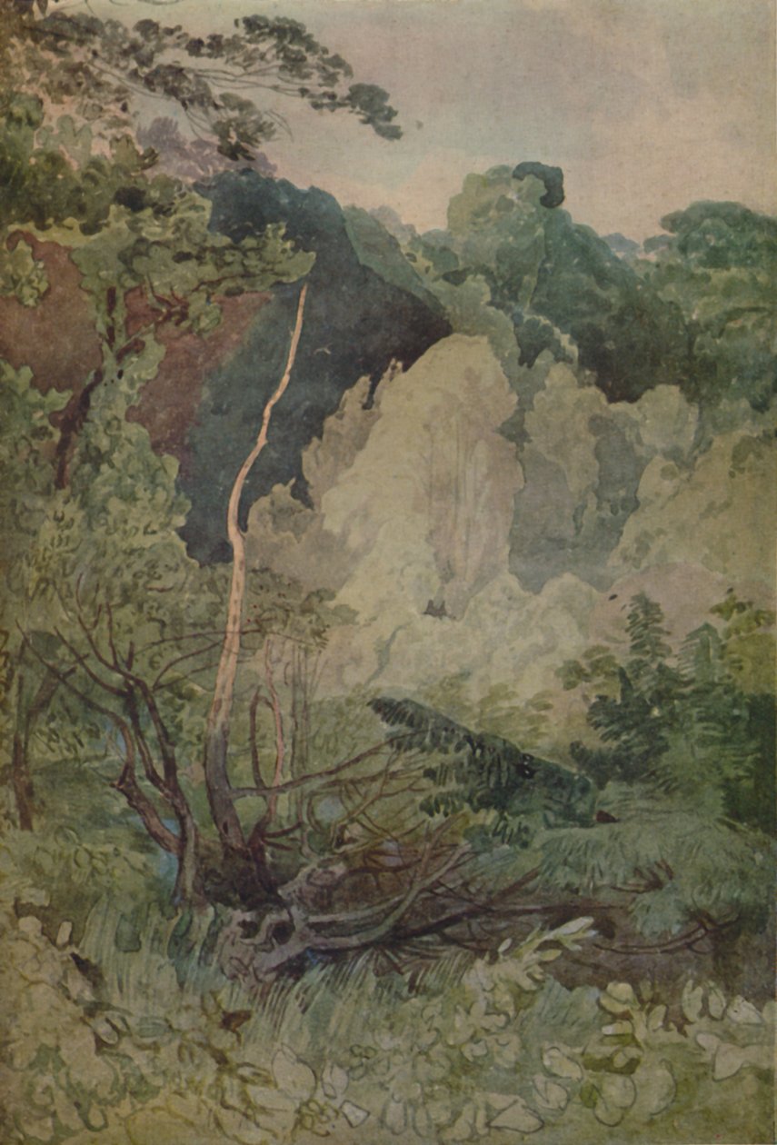 Arbres près de la rivière Greta, 1923 - John Sell Cotman