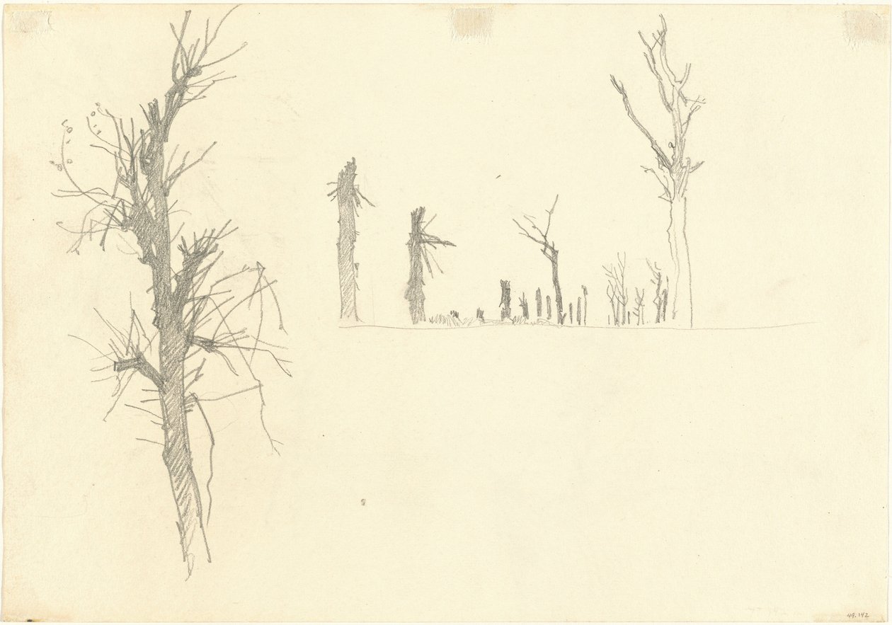 Arbres dévastés (verso), 1918 - John Singer Sargent