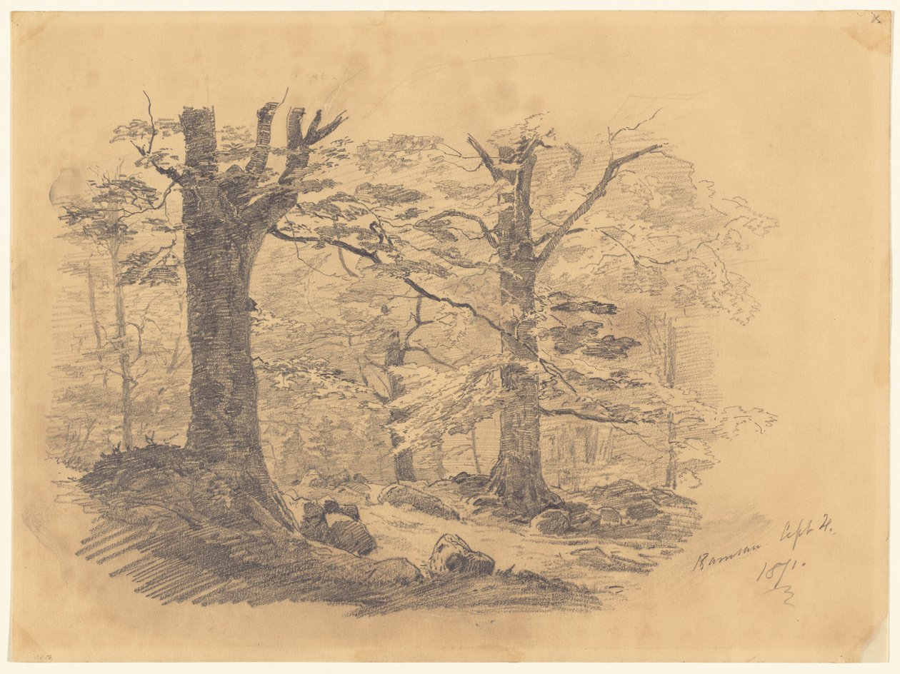 Forêt, Ramsau, Allemagne - John Singer Sargent