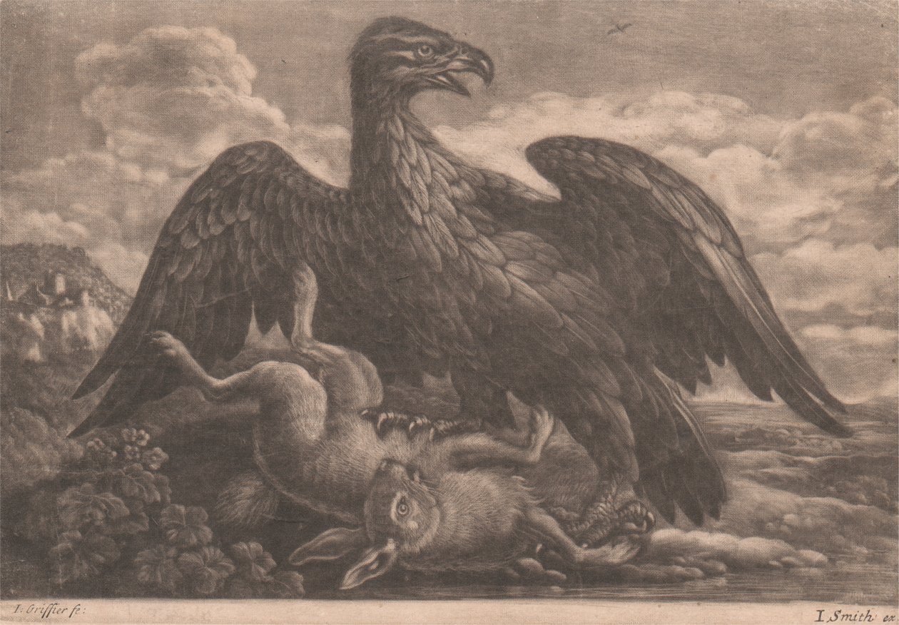 Aigle et lièvre - John Smith