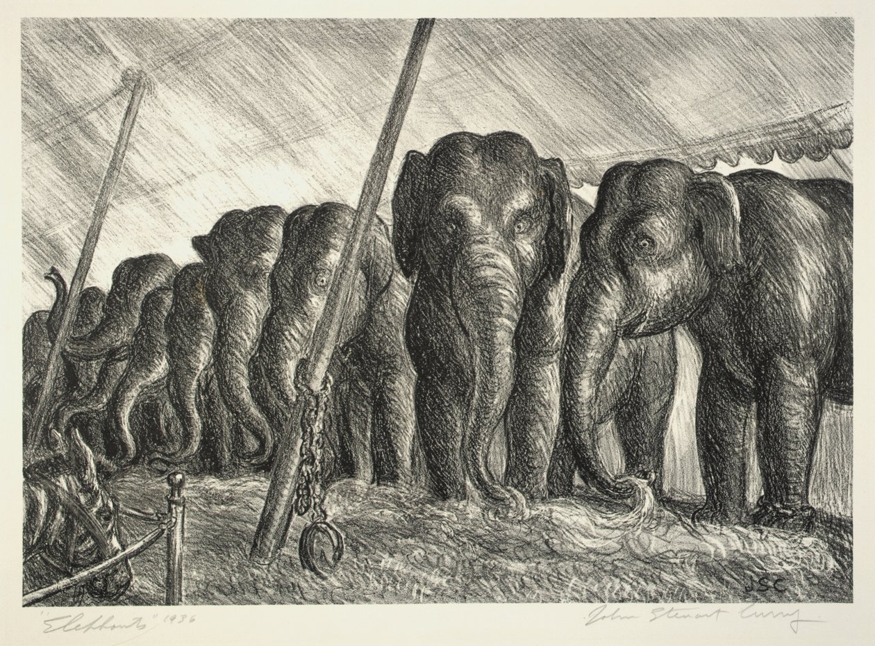 Cirque des éléphants - John Steuart Curry