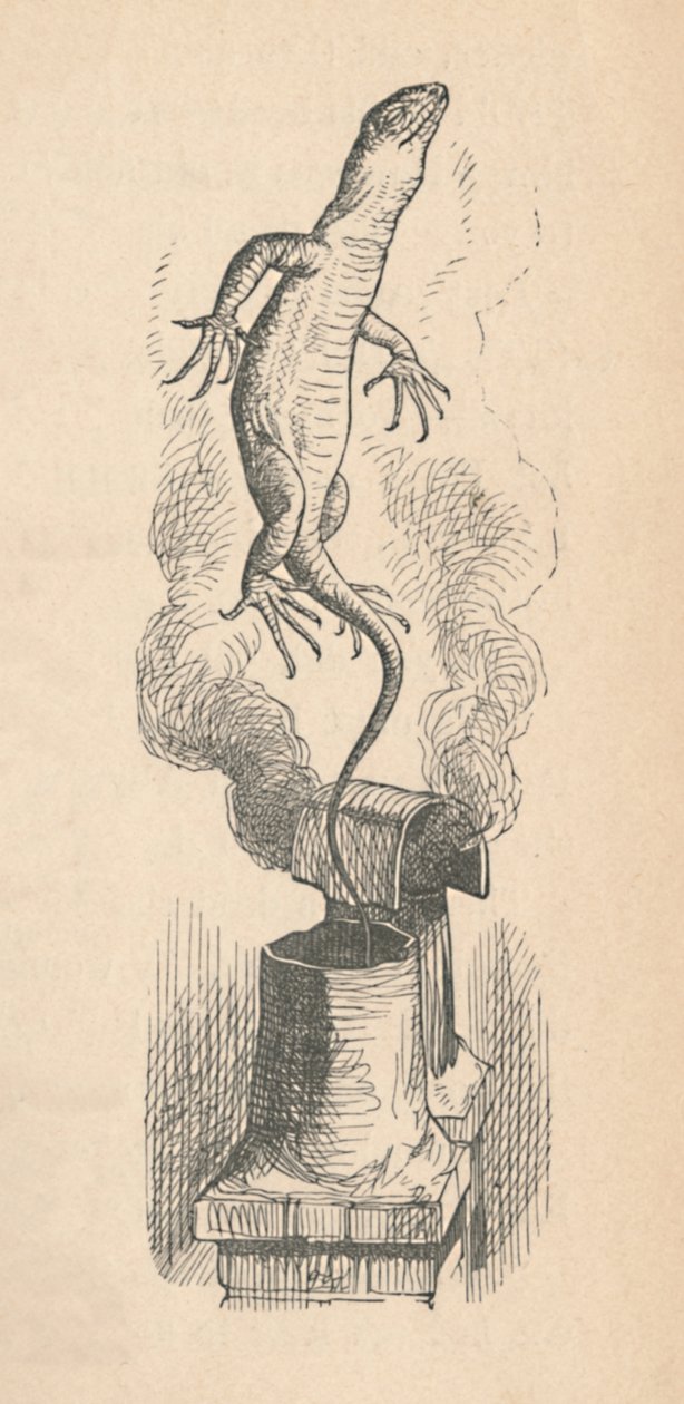 Le Lézard, 1889 - John Tenniel