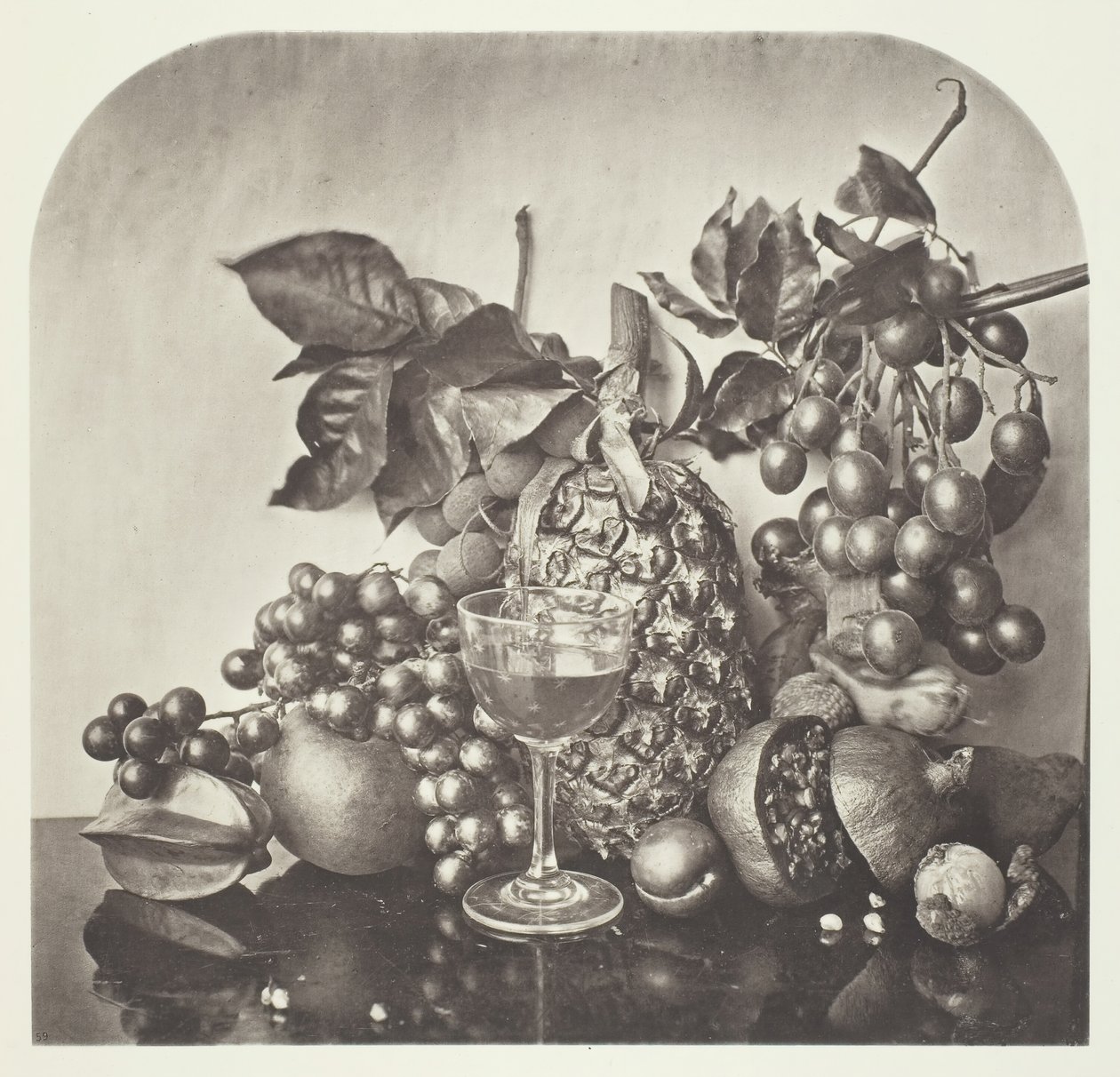 Fruits - John Thomson