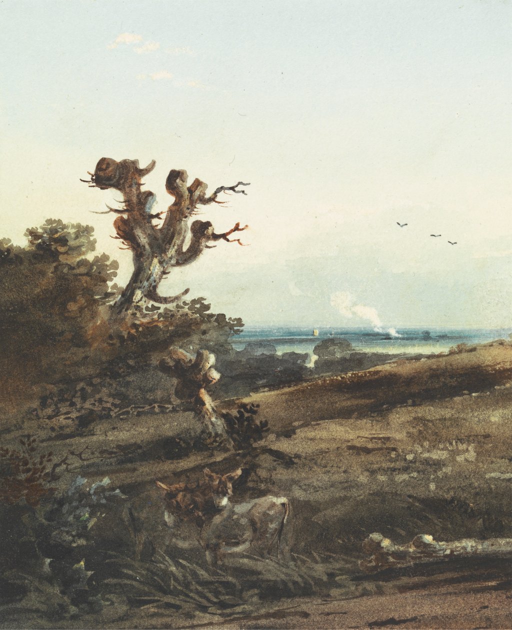 Deux ânes dans un paysage - John Varley