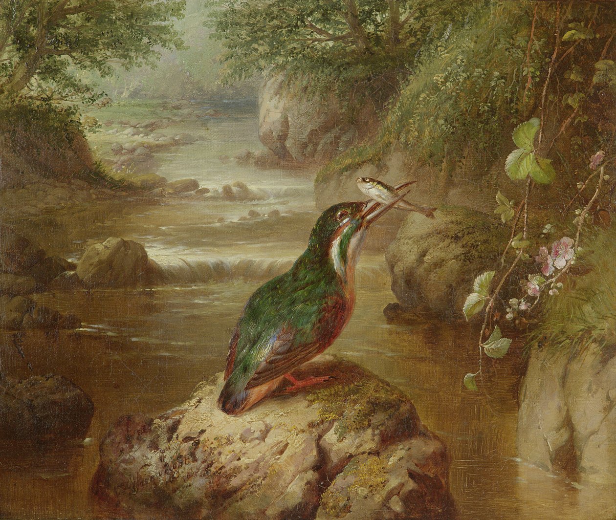 Le Repaire du Martin-pêcheur - John Wainwright