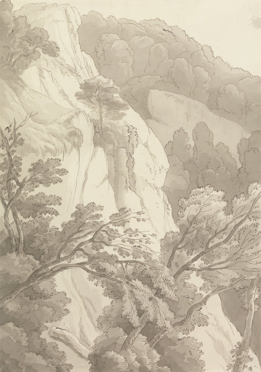 Canonteign - John White Abbott