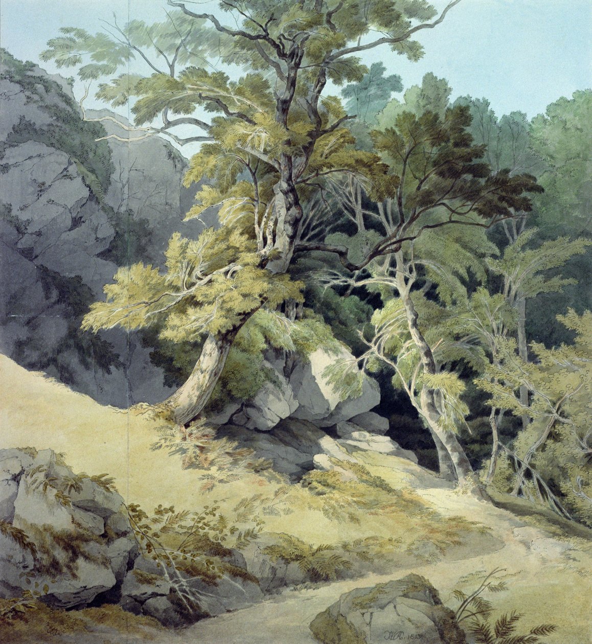 Canonteign, Devon - John White Abbott