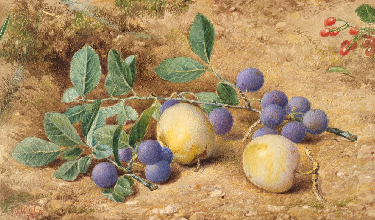 Prunes, 1870 - John William Hill