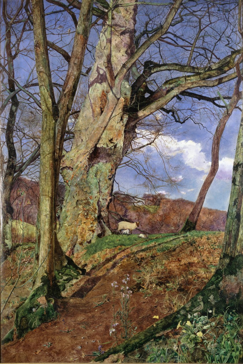 Une étude, en mars, exposée 1855 - John William Inchbold