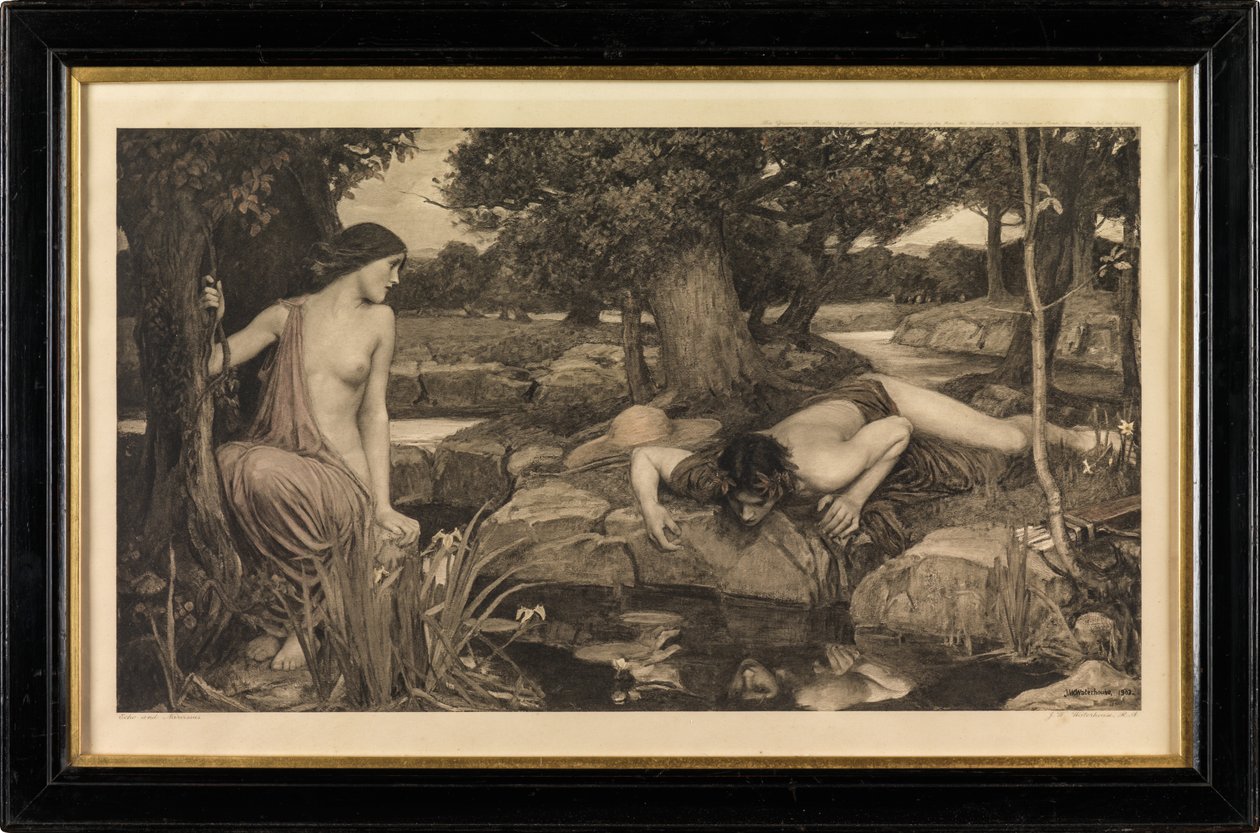 Écho et Narcisse - John William Waterhouse