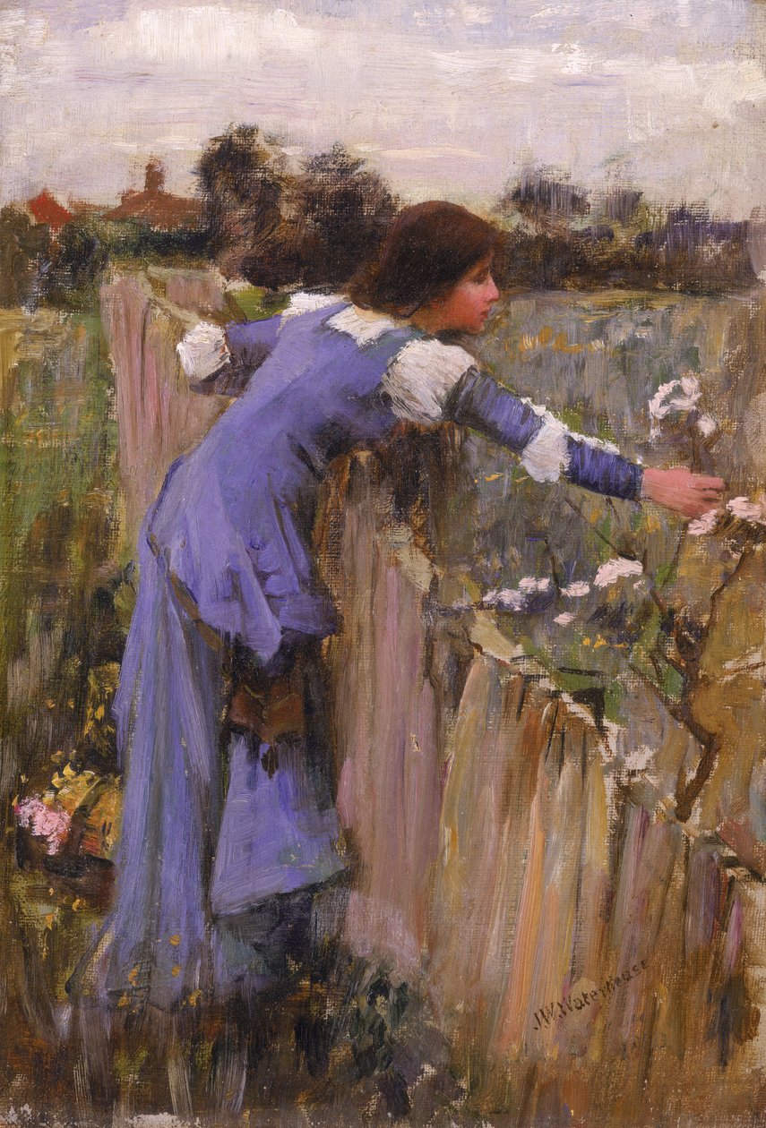 Le cueilleur de fleurs - John William Waterhouse