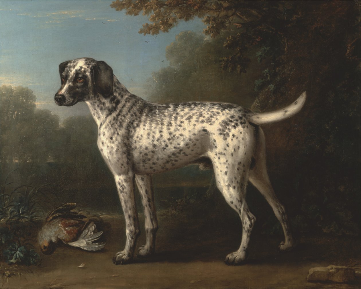 Un chien tacheté gris - John Wootton