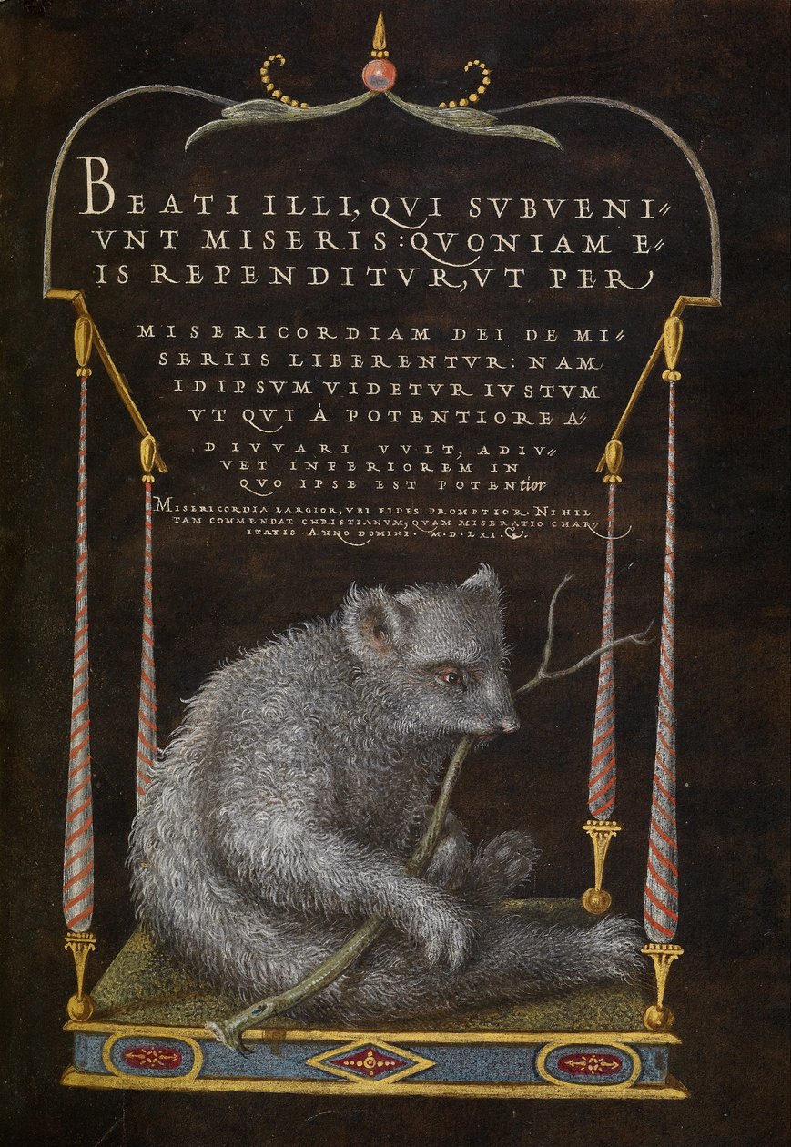 Un paresseux - Joris Hoefnagel