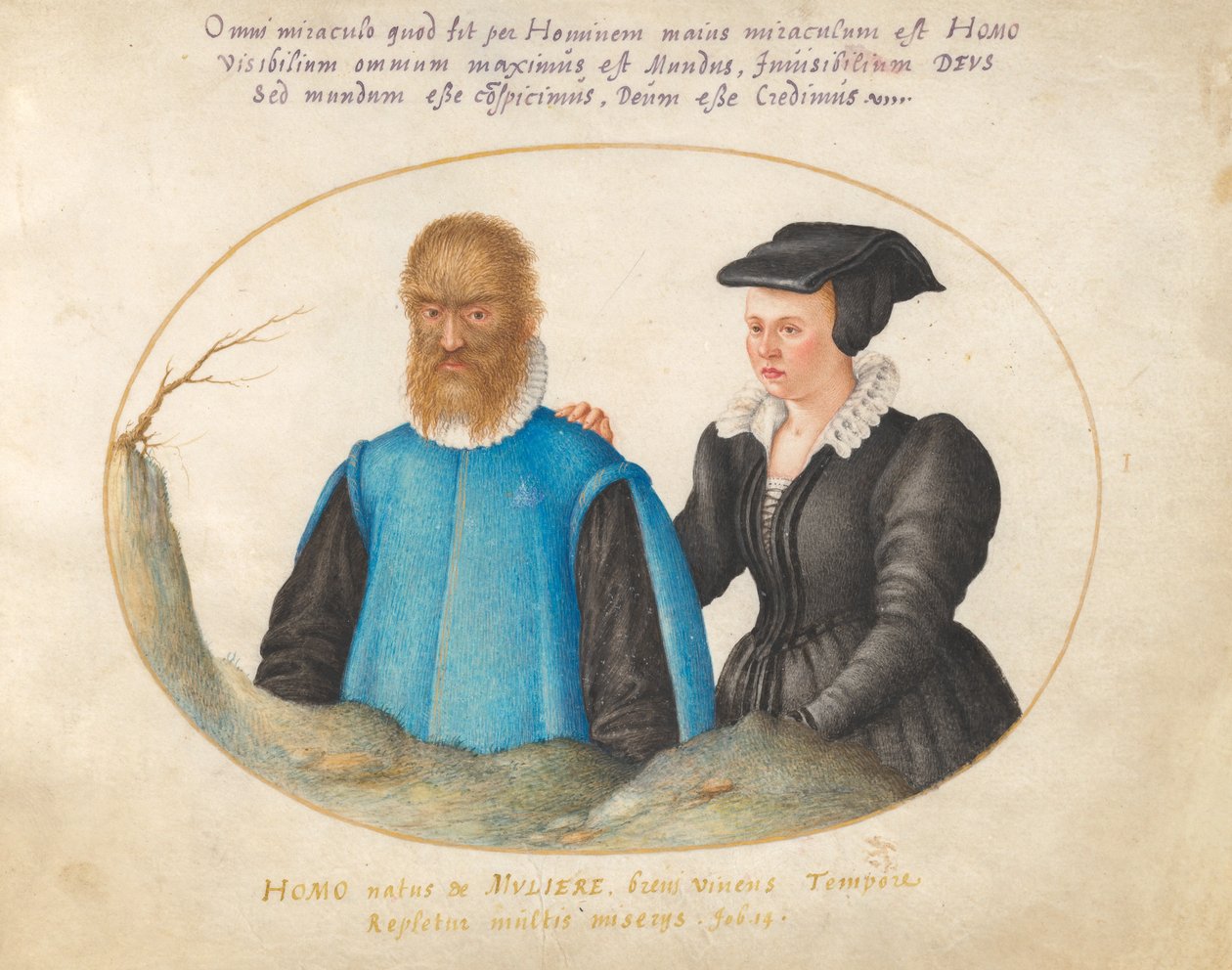 Animalia Rationalia et Insecta (Ignis) - Planche I - Joris Hoefnagel