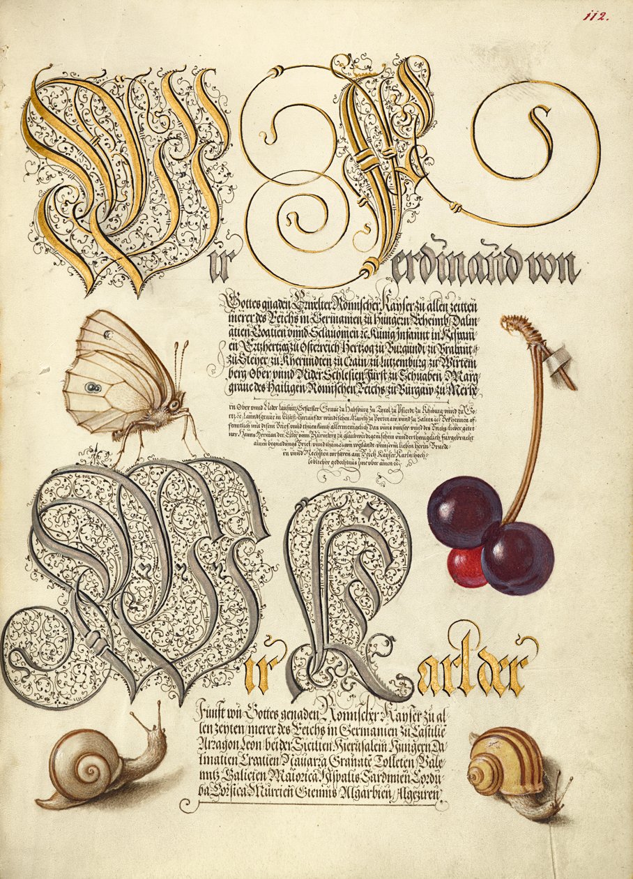 Papillon, cerise douce et escargots de terre - Joris Hoefnagel