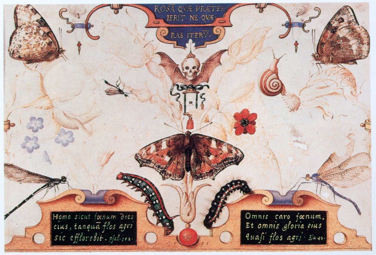 Diptyque avec des fleurs et des insectes - Joris Hoefnagel