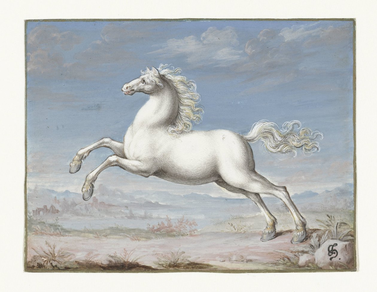 Cheval blanc - Joris Hoefnagel