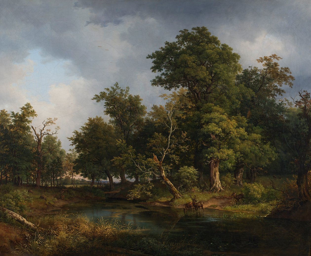 Paysage forestier - Josef Feid