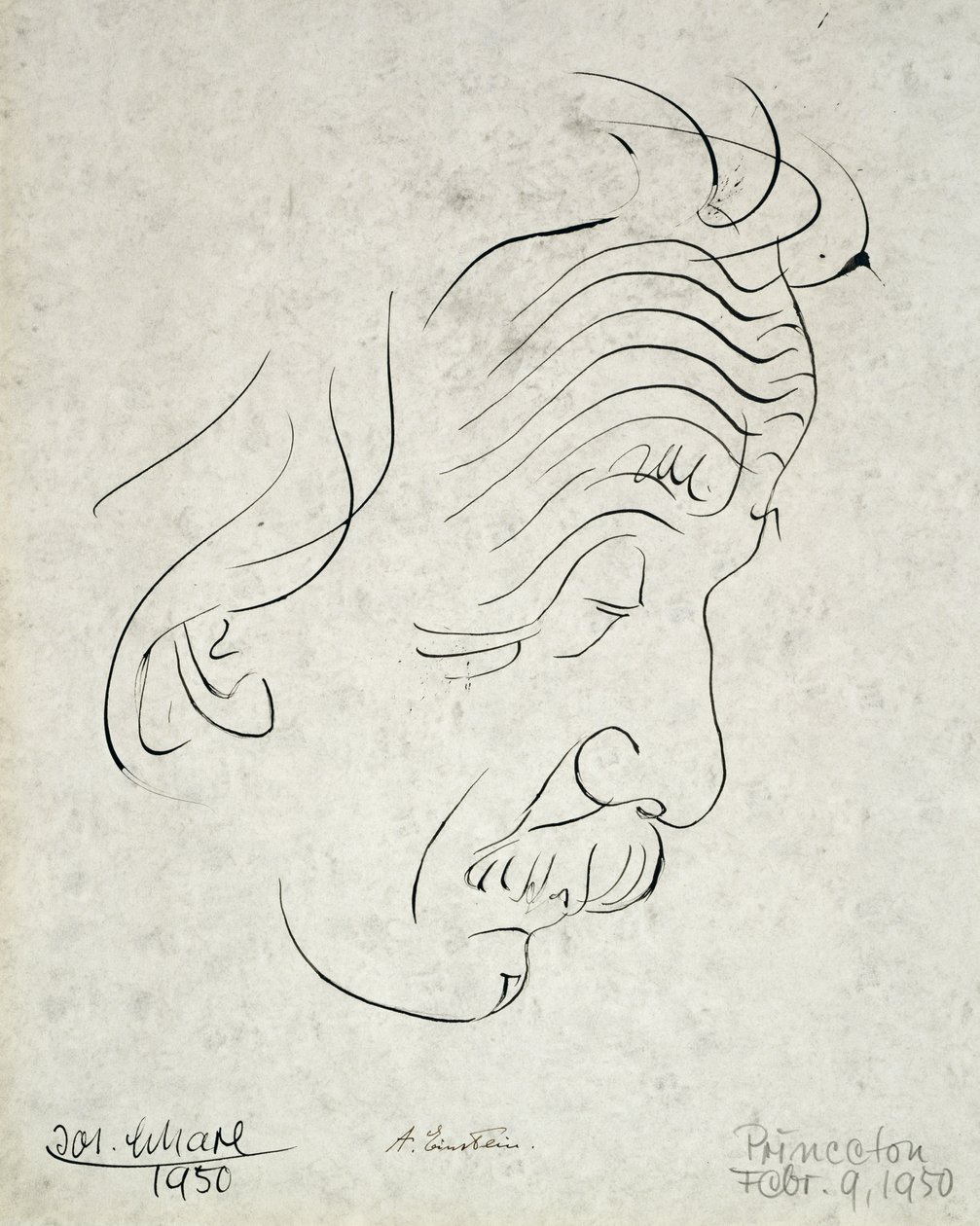 Albert Einstein - Josef Scharl