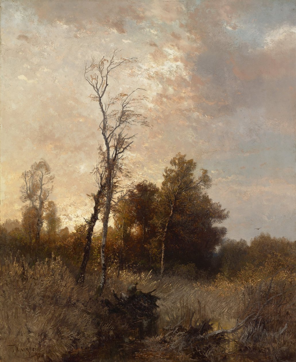 Paysage d