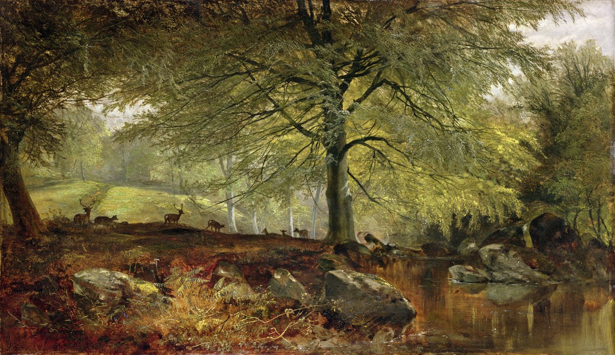 Cerfs dans un bois - Joseph Denovan Adam