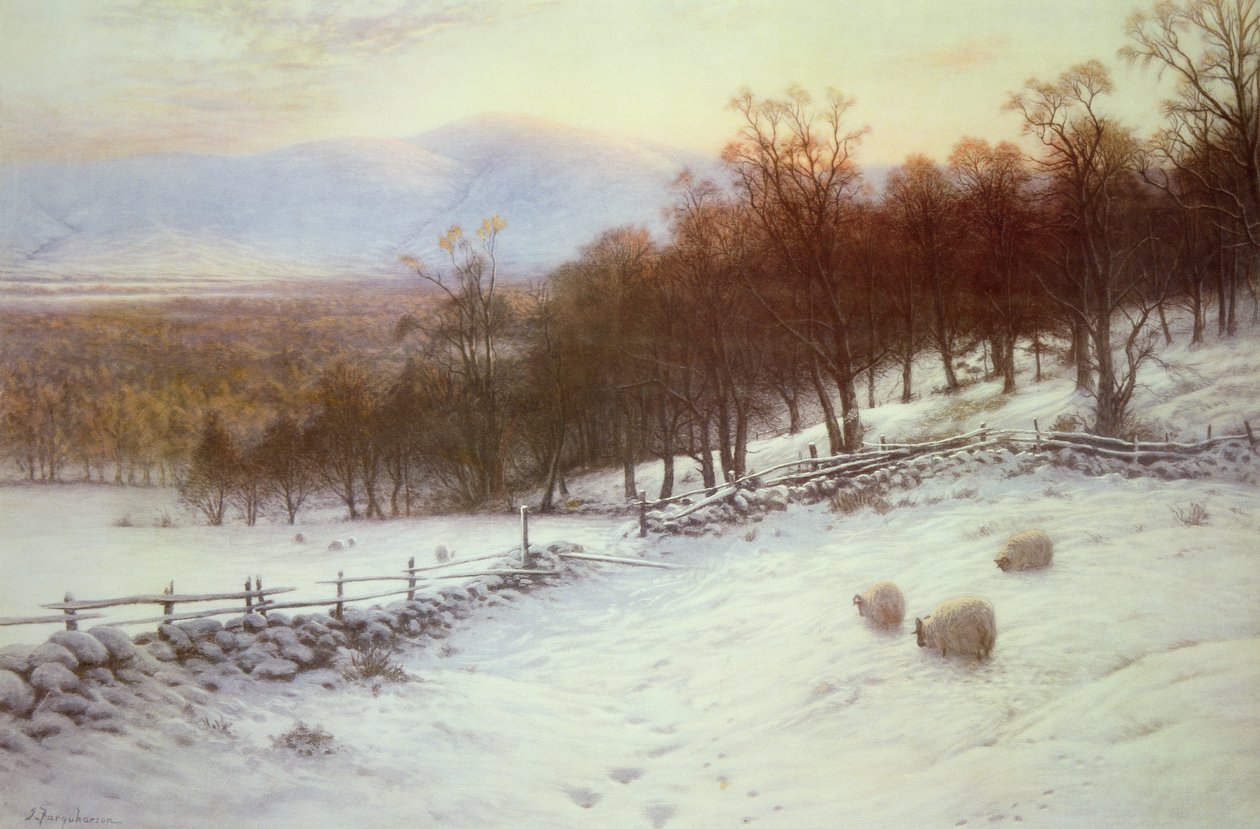 Champs Enneigés avec des Moutons - Joseph Farquharson