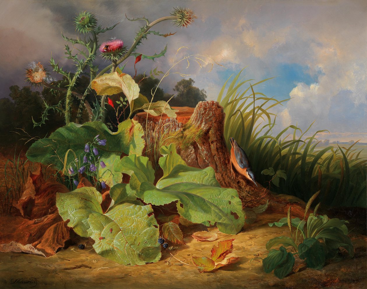 Nature morte avec chardons, campanules, cynorrhodons et un sittelle - Joseph Schuster