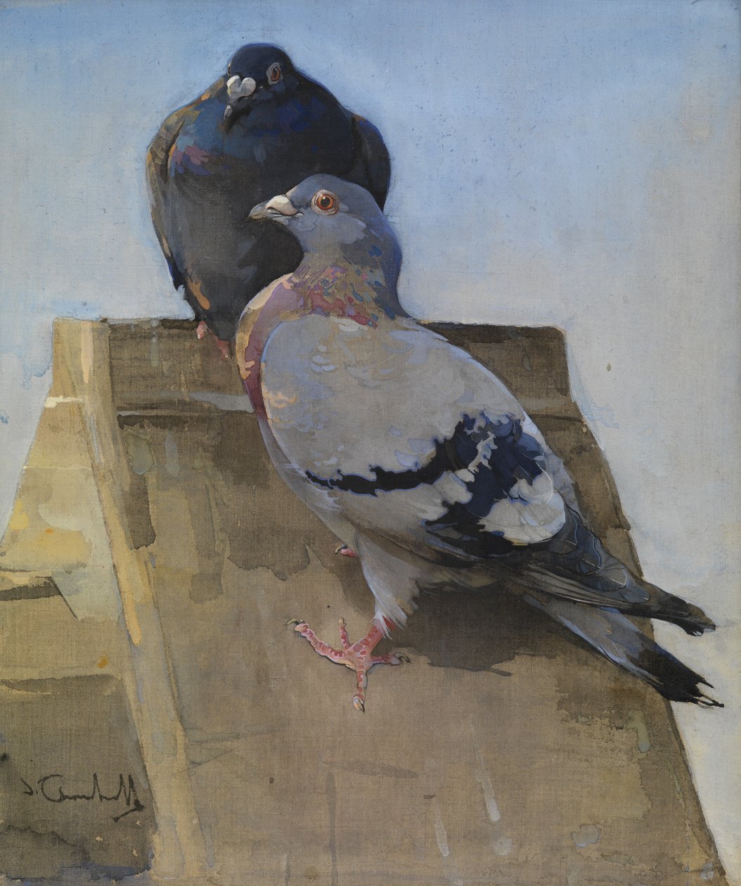 Pigeons sur le toit - Joseph Crawhall