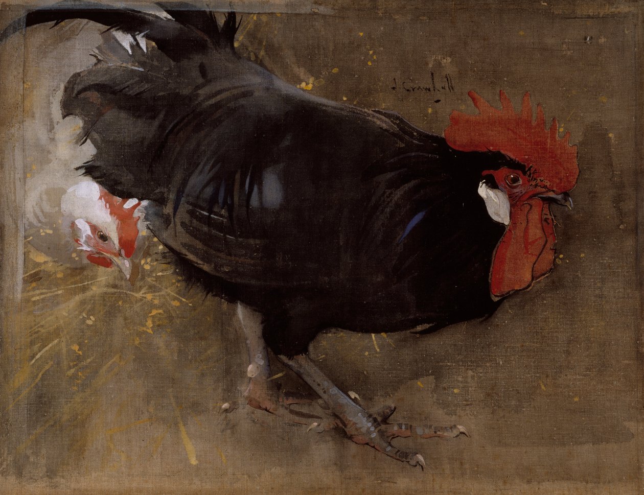Le coq noir - Joseph Crawhall