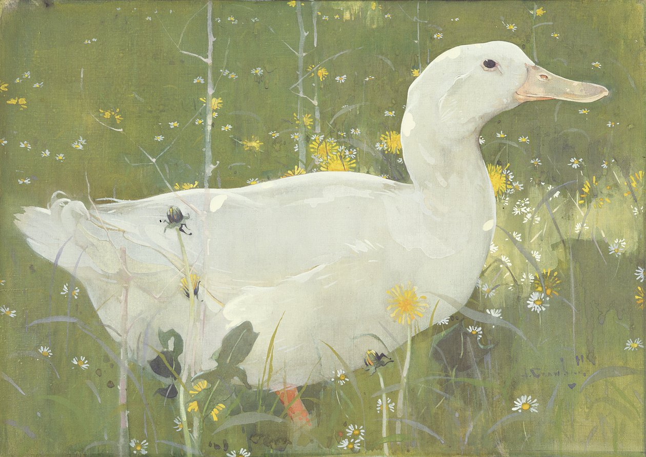 Le canard blanc - Joseph Crawhall