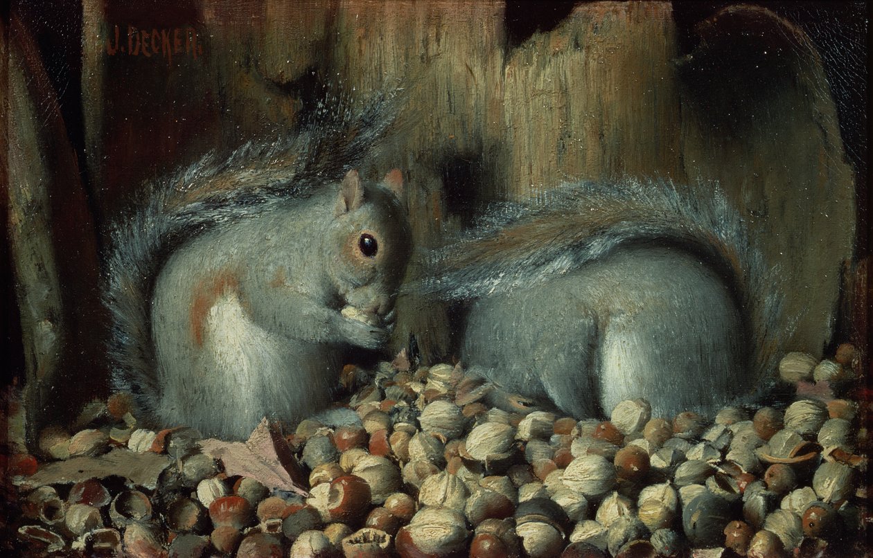 Les Gloutons (écureuils) - Joseph Decker