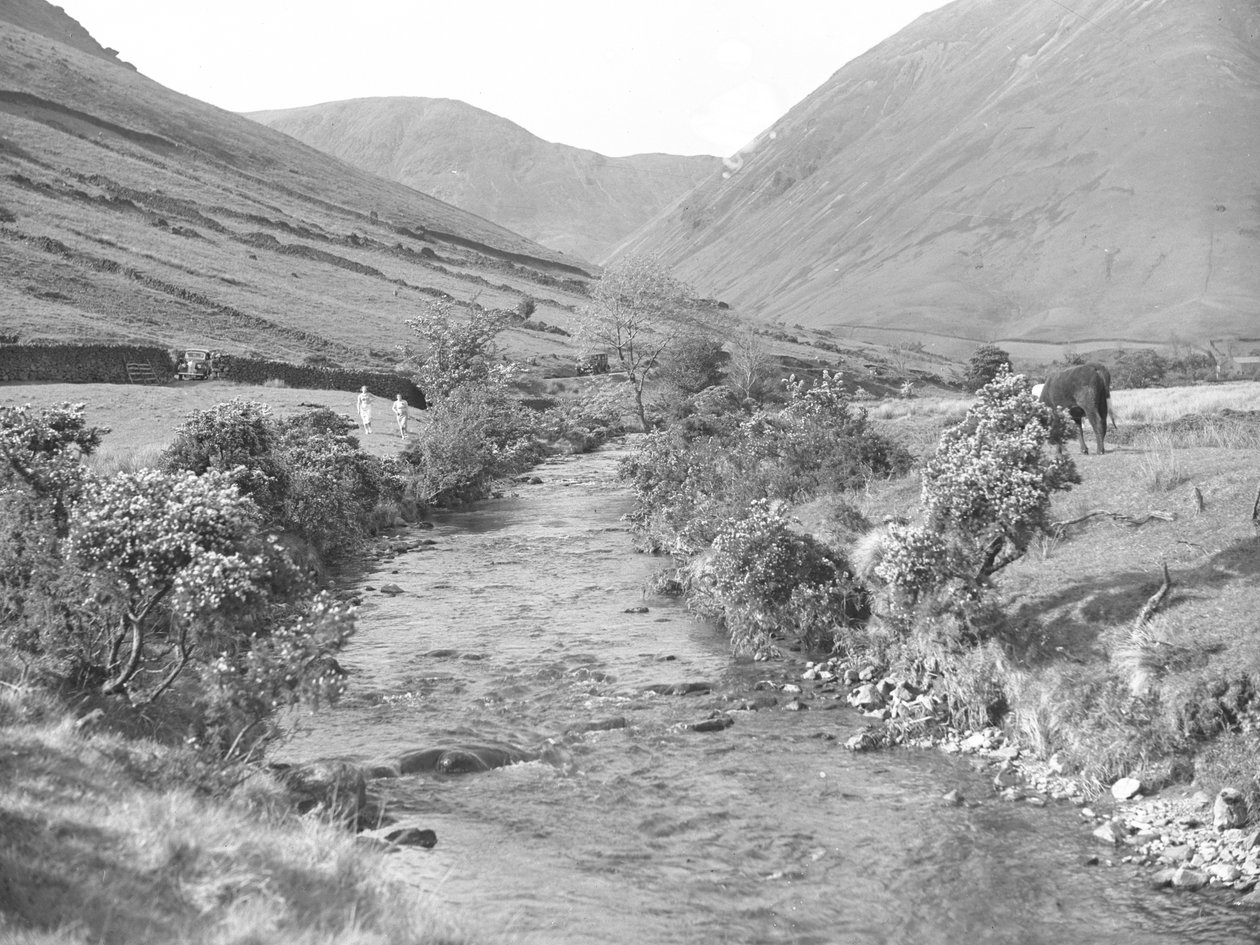 Un ruisseau traversant le paysage de Wastwater - Joseph Hardman