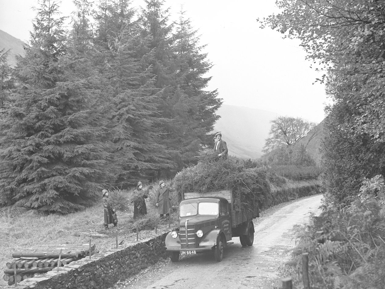 Camion chargé d