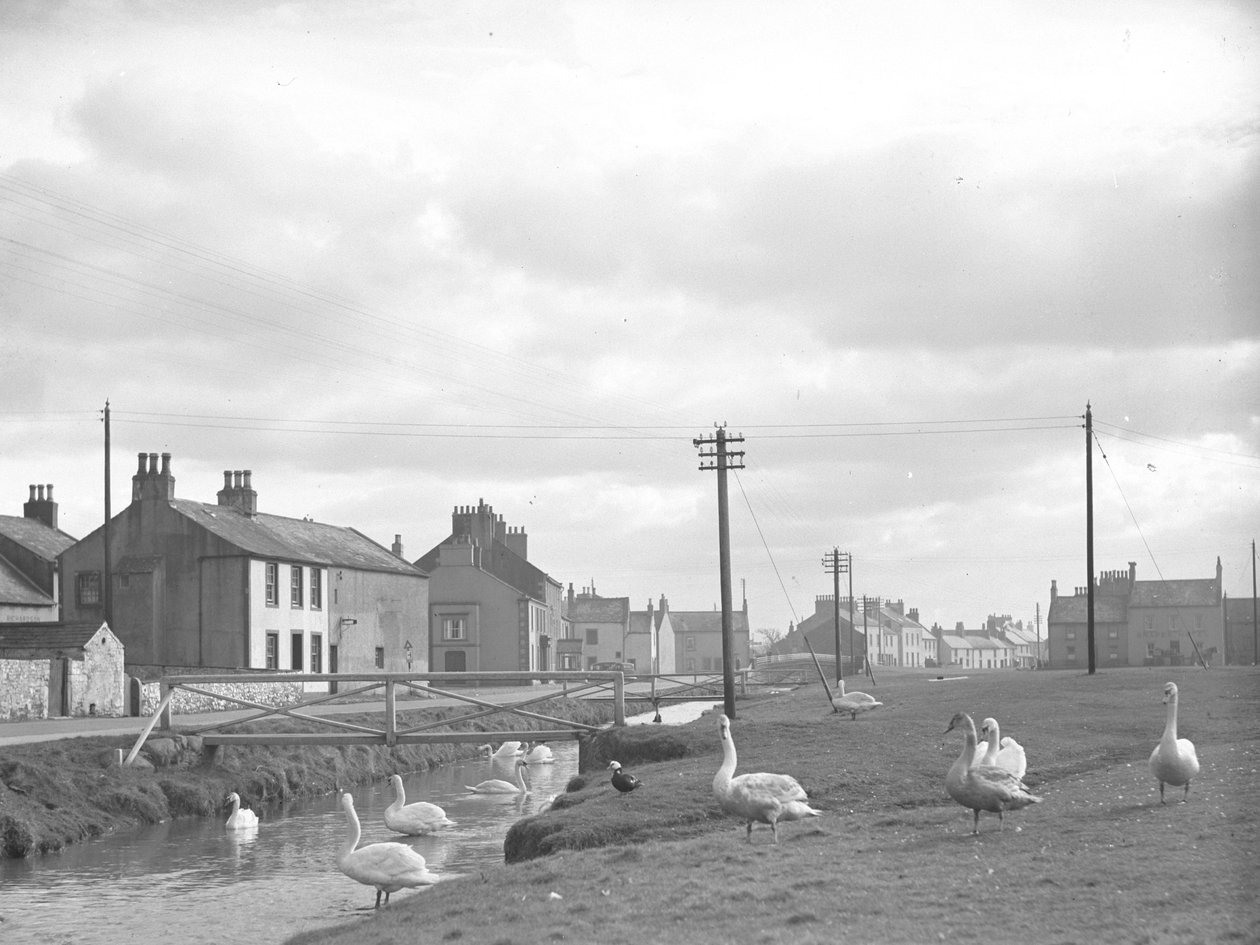 Rue à Allonby avec cygnes et ruisseau - Joseph Hardman
