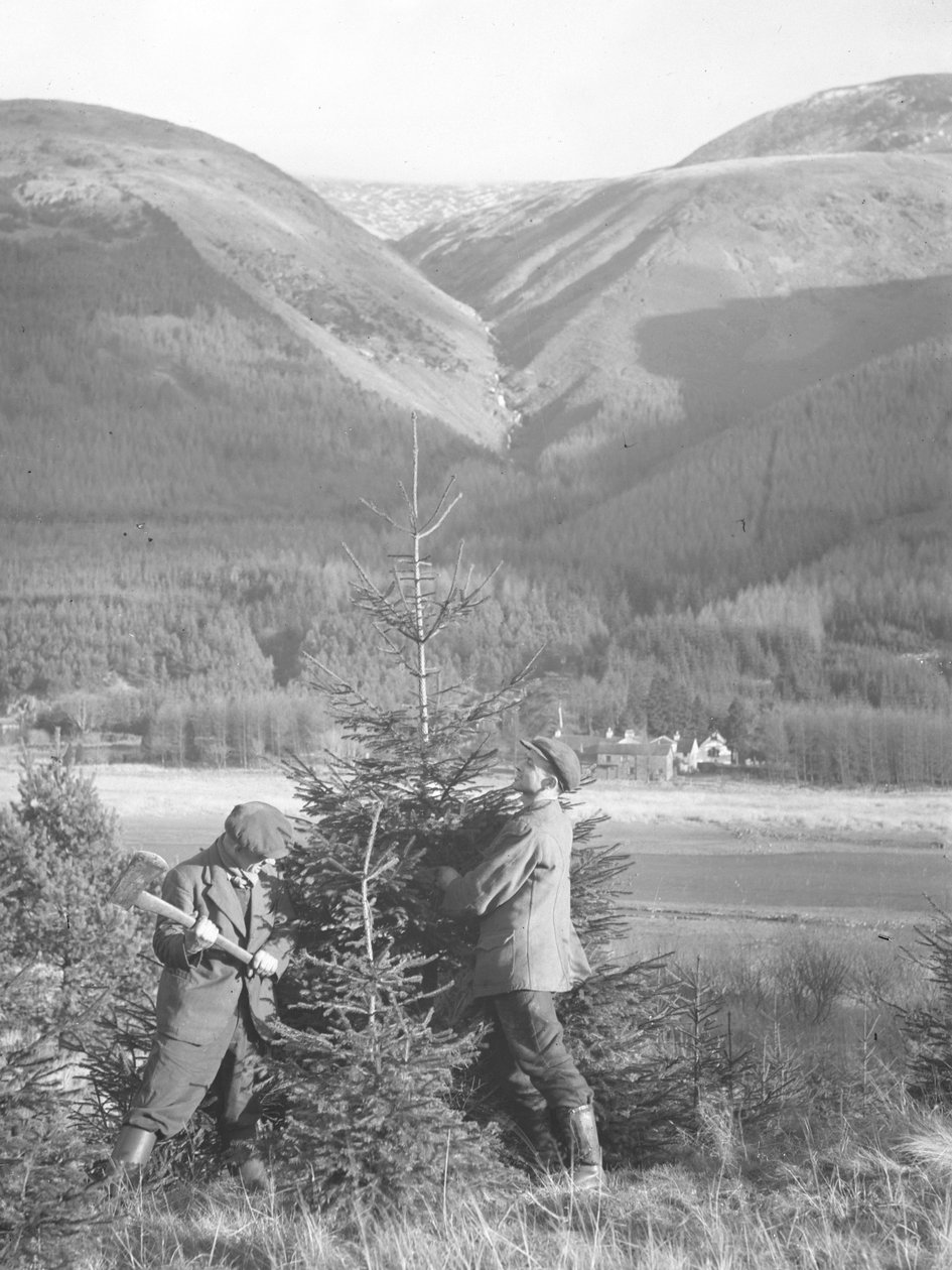 Deux hommes coupant un conifère à la hache - Joseph Hardman