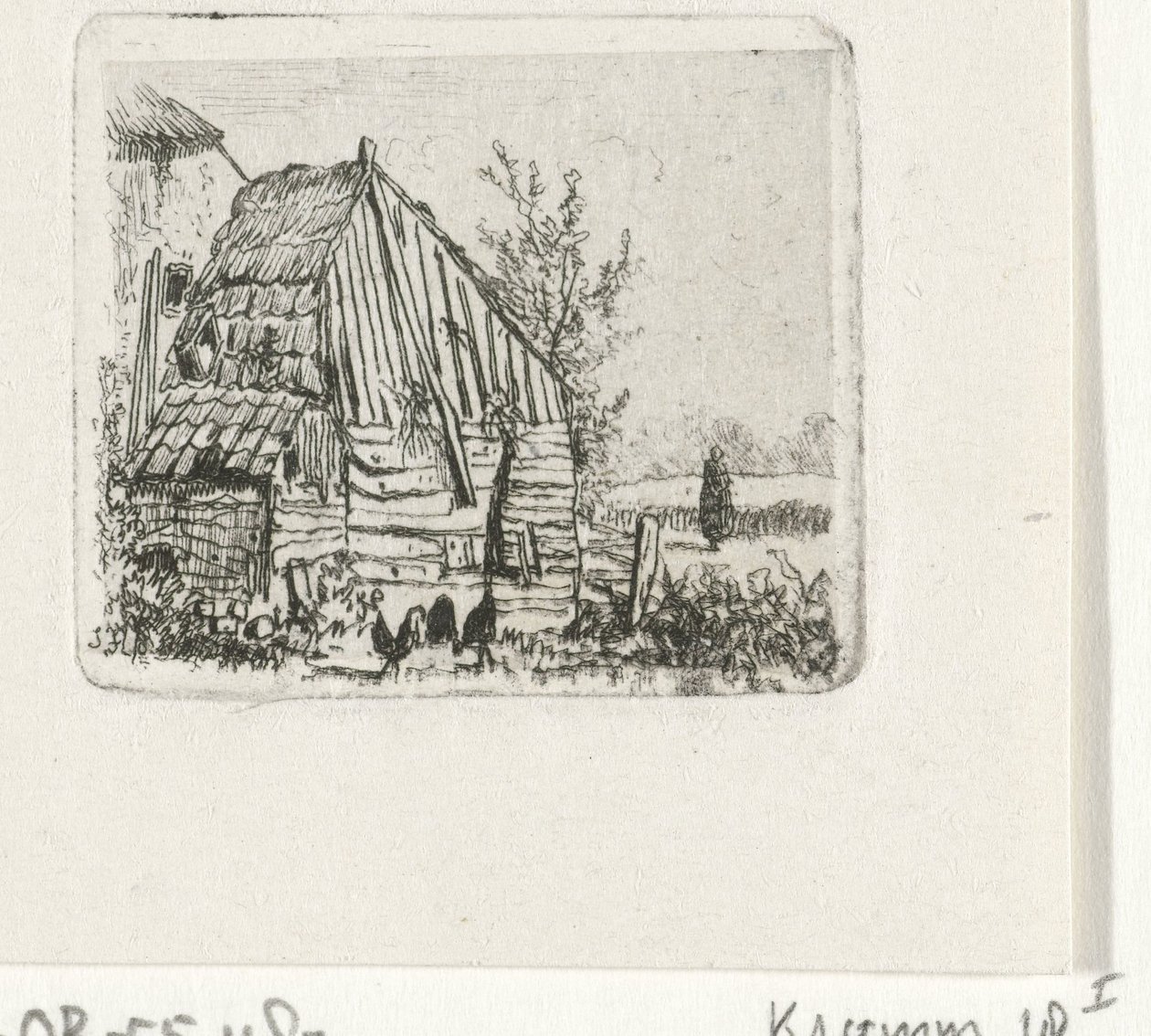 Poules près d