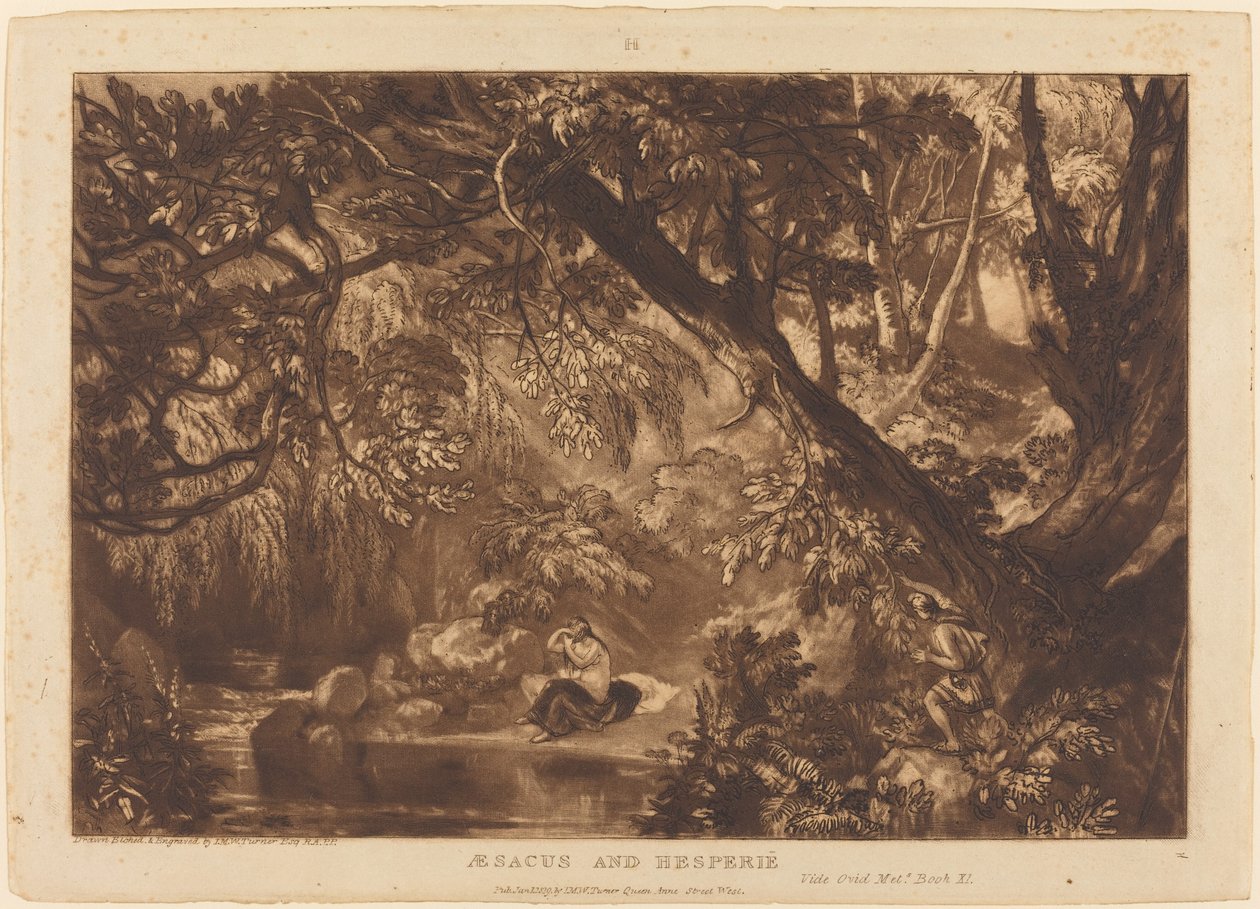 Ésacus et Hespérie - Joseph Mallord William Turner