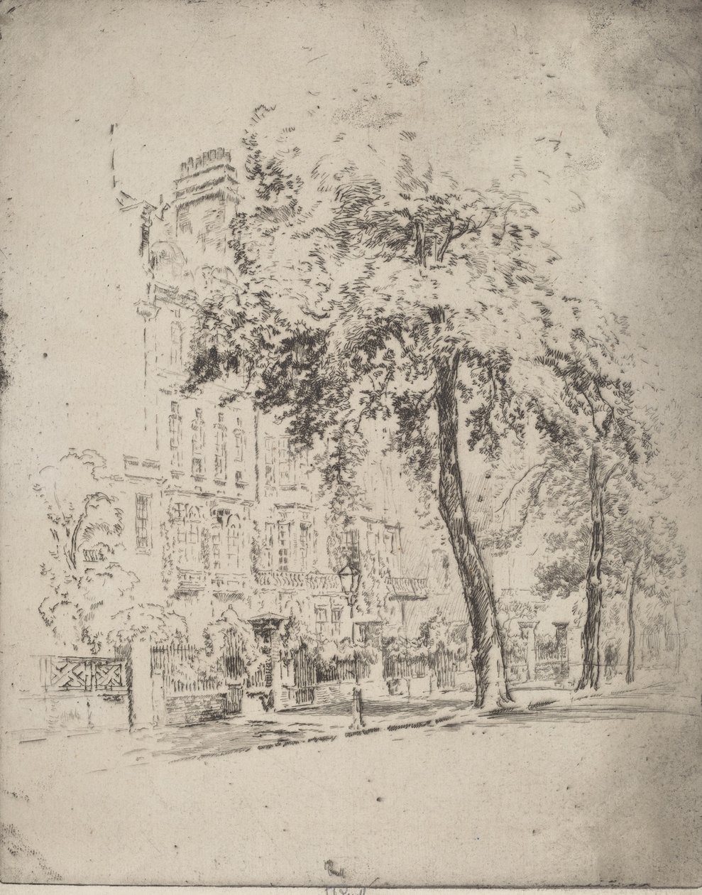 Grand arbre, Cheyne Walk, 1906 - Joseph Pennell