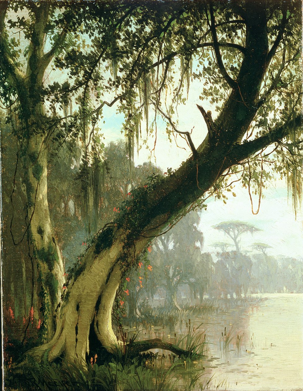 Dans le bayou - Joseph Rusling Meeker