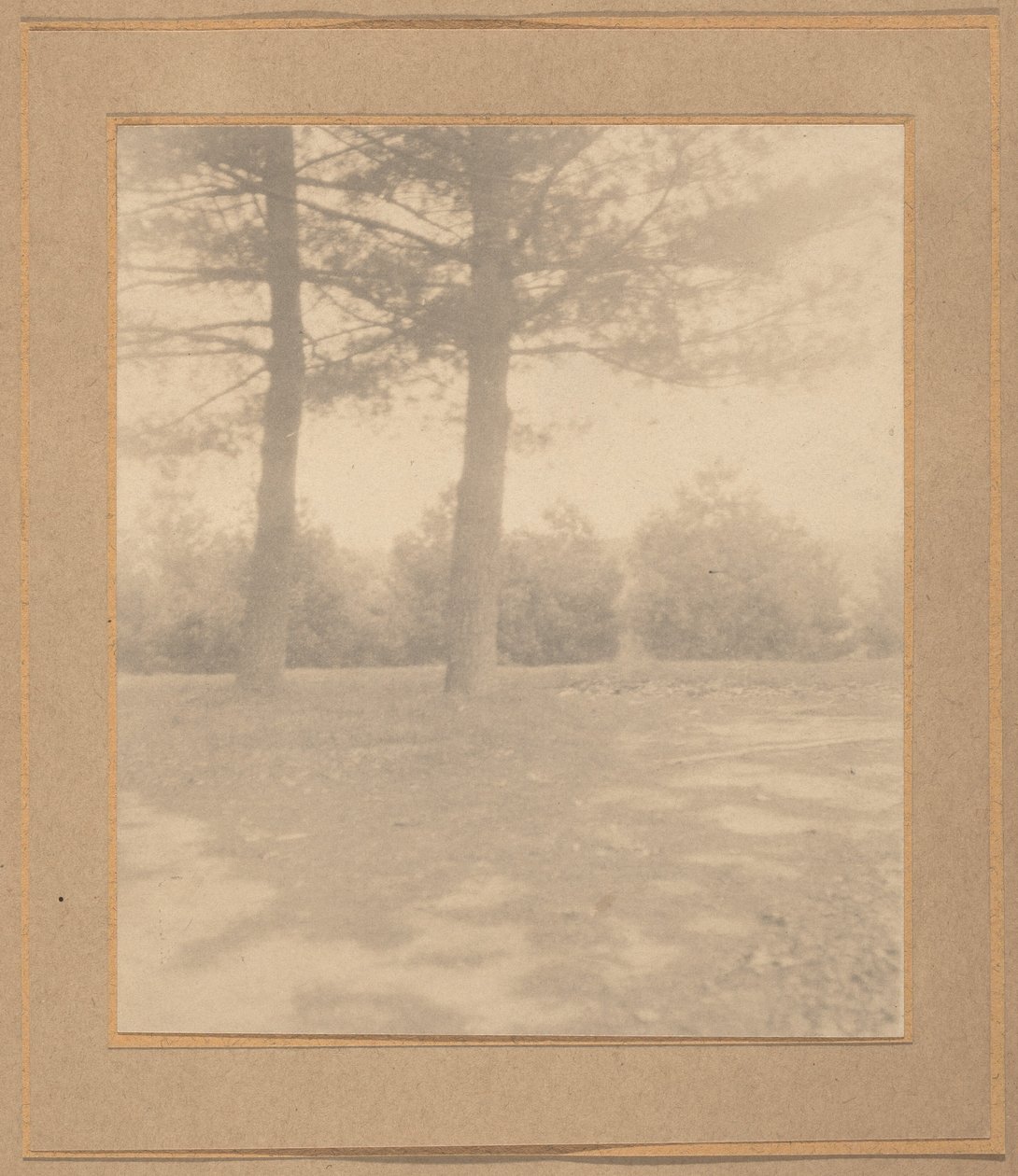 Paysage avec arbres,c. 1900 (photo) - Joseph T. Keiley