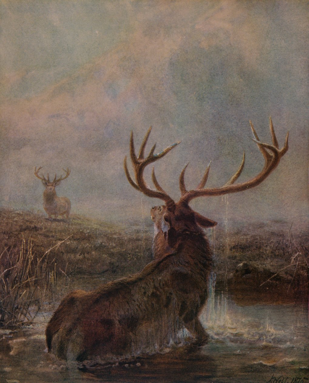 Interrompu, 1875, 1938 - Joseph Wolf