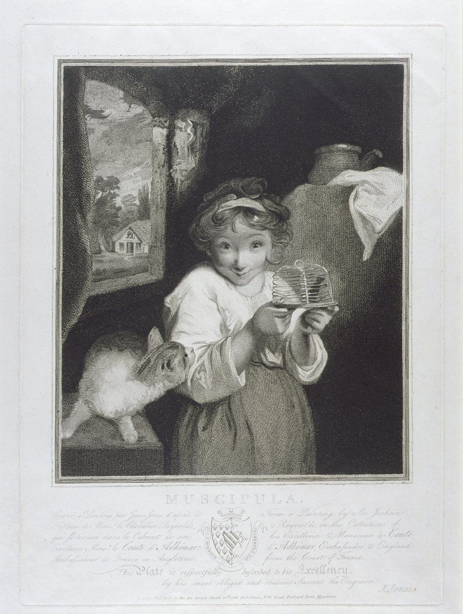 Muscipula, gravé par John Jones (c.1745-97) 1786 - Joshua Reynolds