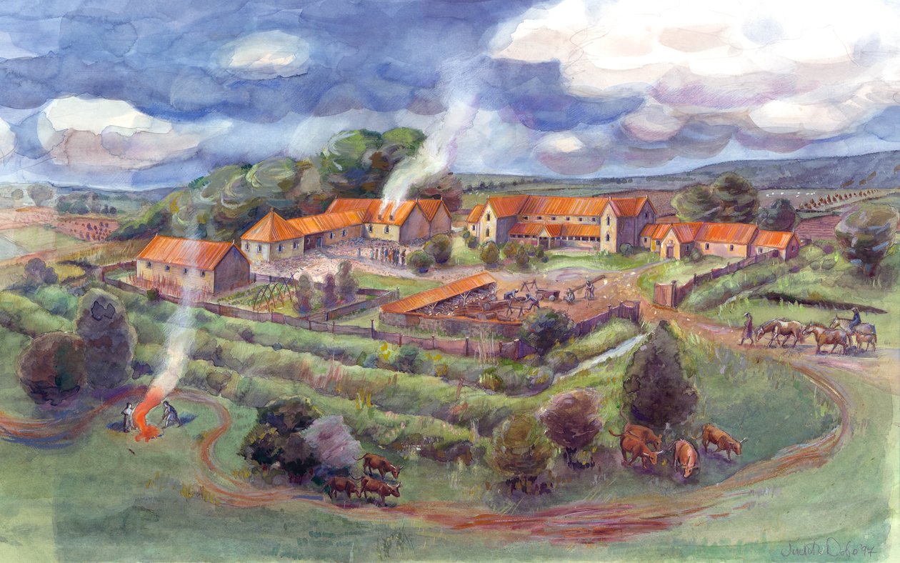 Villa romaine de Gargrave, North Yorkshire - Judith Dobie