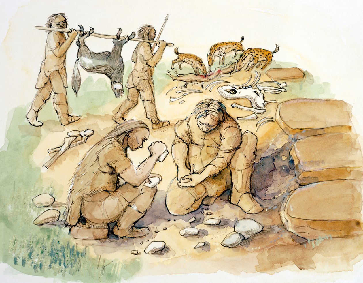 Hominidés et hyènes, Paléolithique supérieur - Judith Dobie