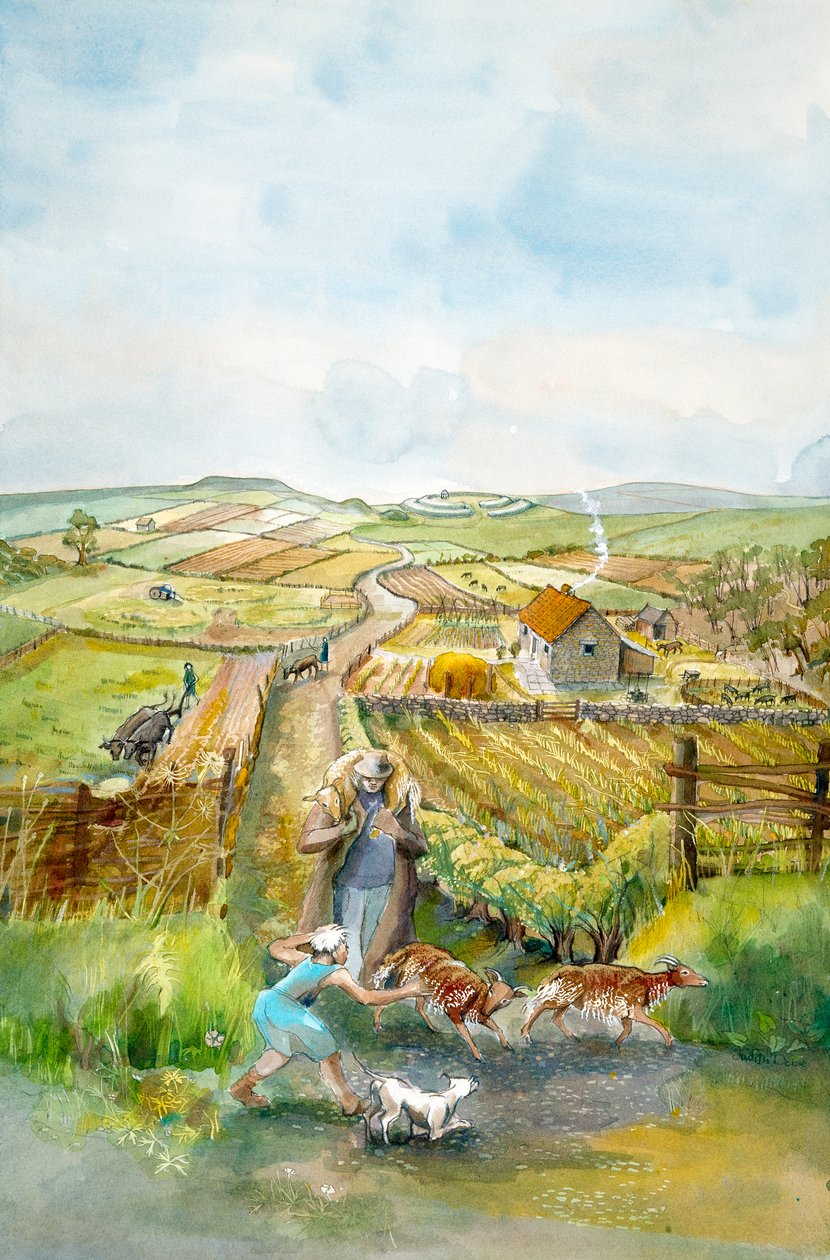 Paysage rural, 3e siècle, c. 1990-2010 - Judith Dobie