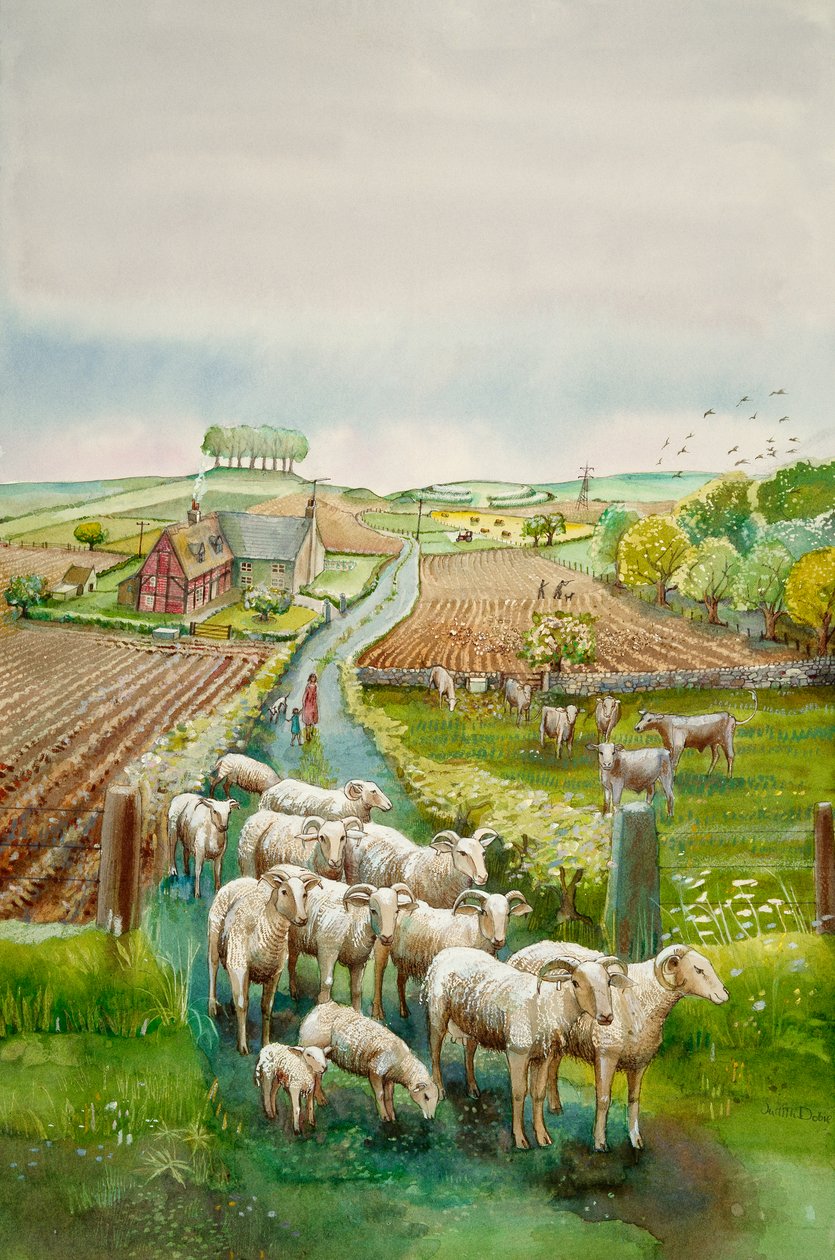 Paysage rural, c2010 - Judith Dobie